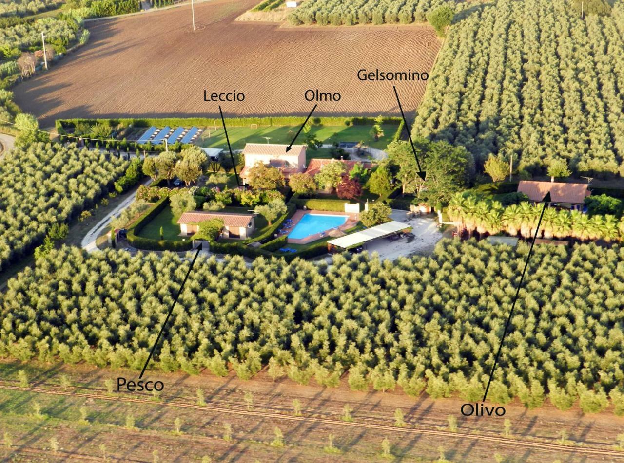 Podere Campi al Mare Donoratico Exterior foto